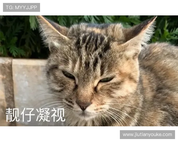 闄囧師绔炴妧钁d簨闀垮洖搴旀媴蹇э細缁濋潪鏄欒姳涓€鐜帮紝涓箼鍙戝睍濂戝悎闀胯繙瑙勫垝 闄囧師绔炴妧钁d簨闀垮洖搴旀媴蹇э細缁濋潪鏄欒姳涓€鐜帮紝涓箼鍙戝睍濂戝悎闀胯繙瑙勫垝